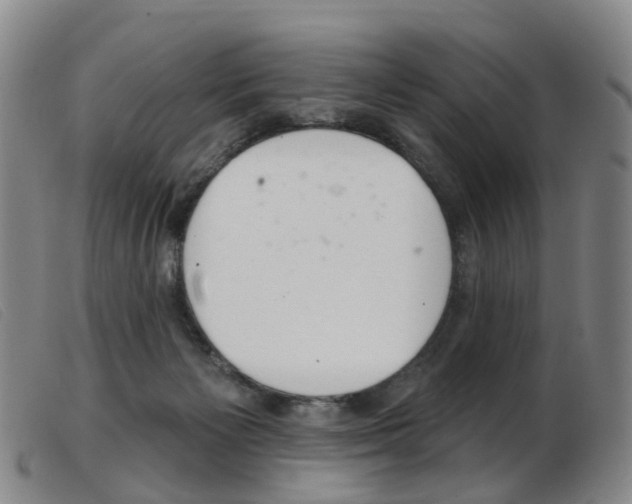 X0000103950125200809191220