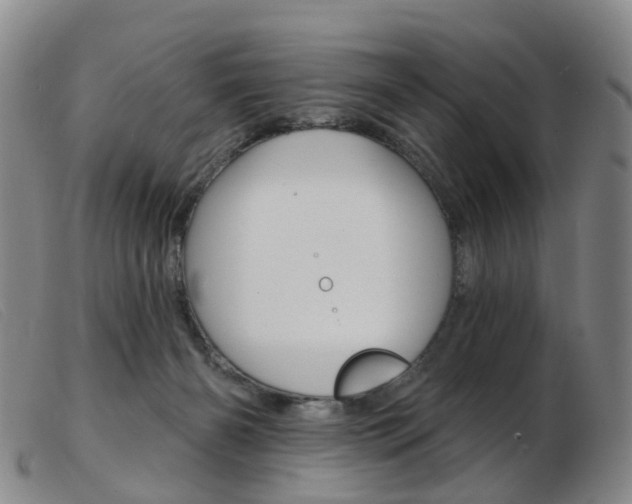 X0000103950126200809191220