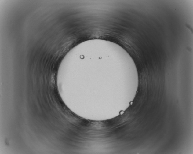 X0000103950127200809191220