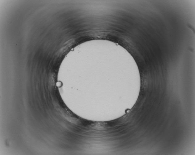 X0000103950128200809191220