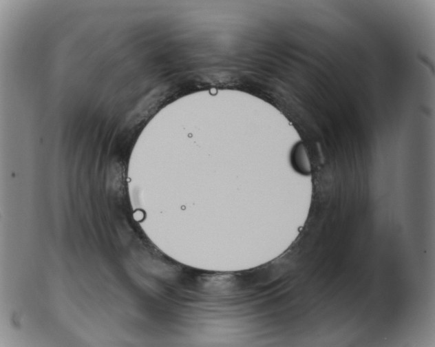 X0000103950132200809191220