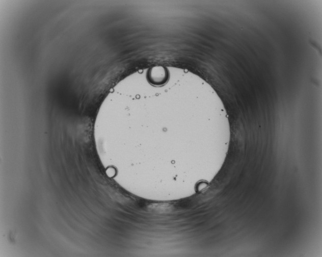 X0000103950133200809191220