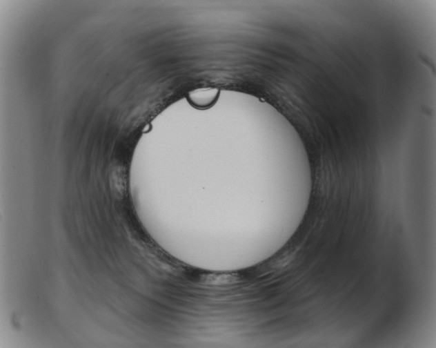 X0000103950135200809191220
