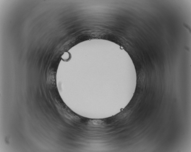 X0000103950137200809191220