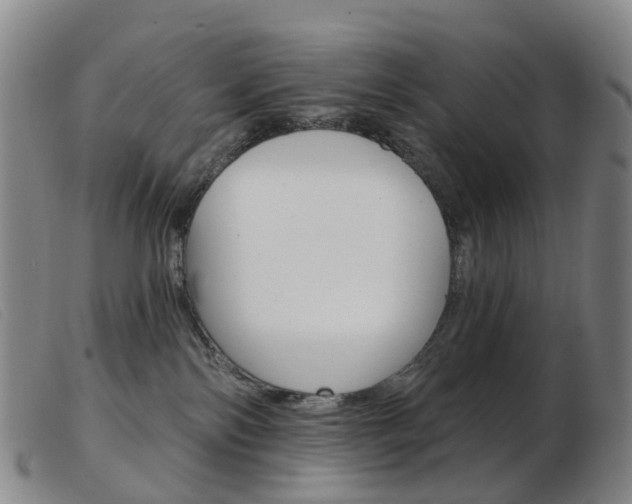 X0000103950138200809191220
