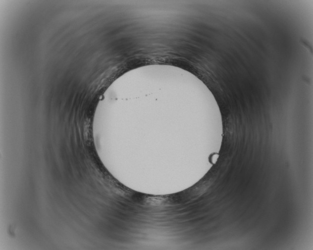 X0000103950139200809191220