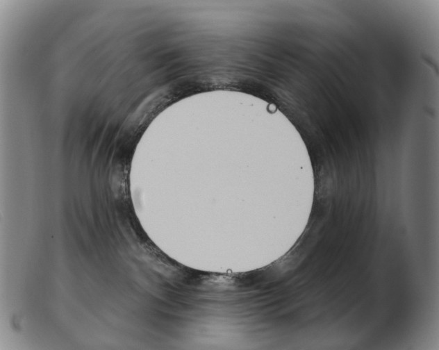 X0000103950140200809191220