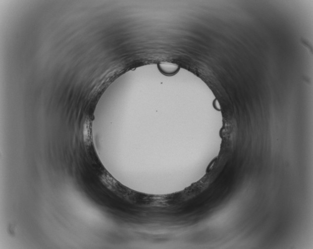 X0000103950143200809191220