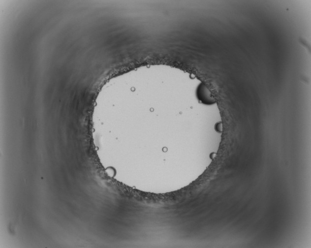 X0000103950144200809191220