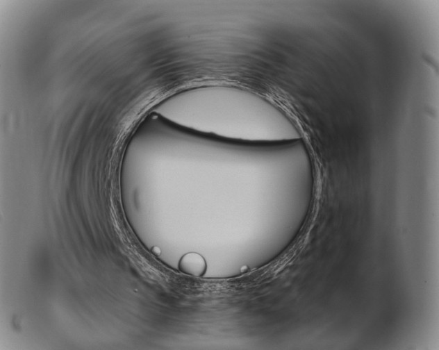 X0000103950145200809191219