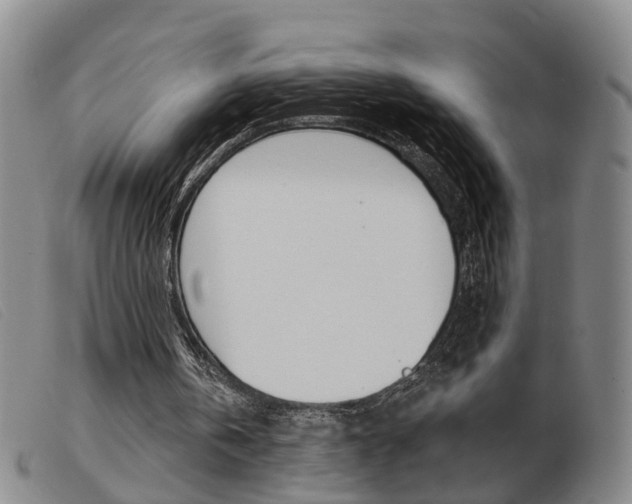 X0000103950146200809191219