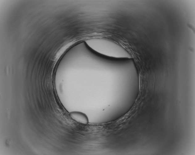 X0000103950147200809191219