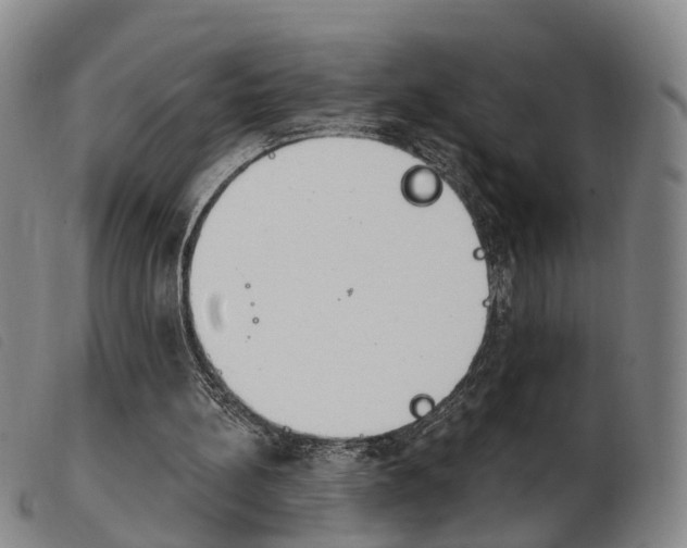 X0000103950148200809191219