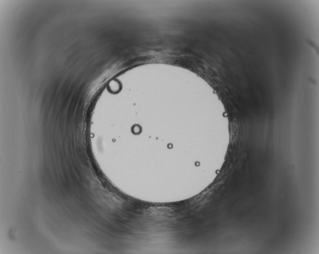 X0000103950150200809191219
