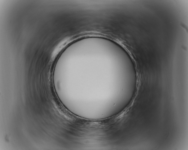 X0000103950151200809191219