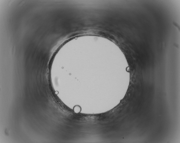X0000103950152200809191219