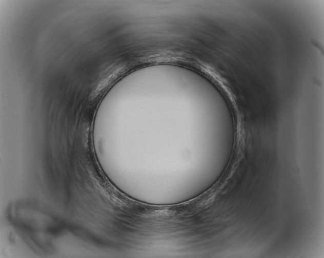 X0000103950153200809191219