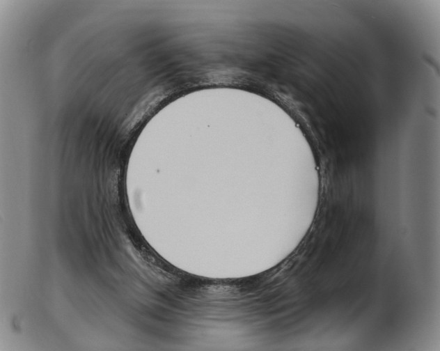 X0000103950154200809191219