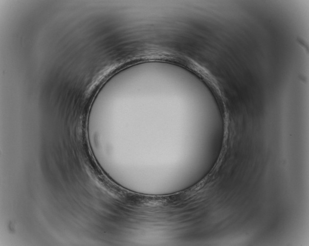 X0000103950155200809191219