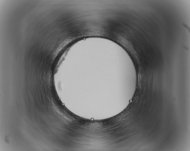 X0000103950156200809191219