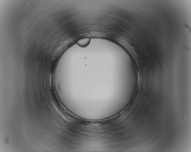 X0000103950157200809191219