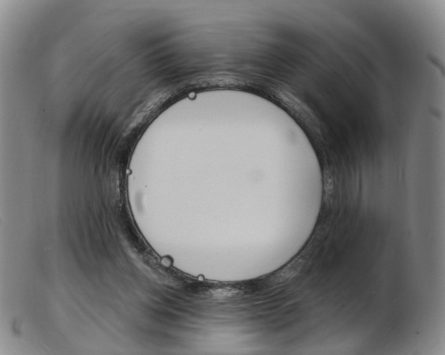 X0000103950158200809191219