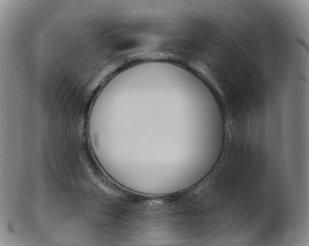 X0000103950159200809191219