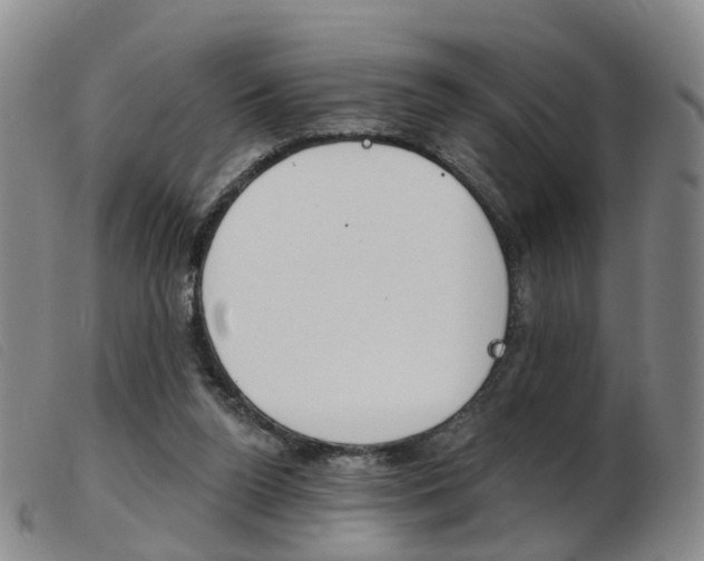 X0000103950160200809191219