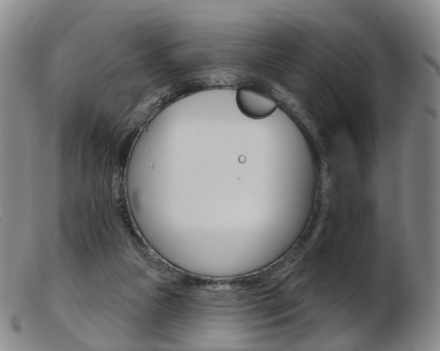 X0000103950161200809191219