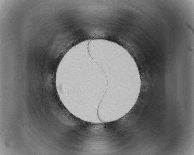 X0000103950162200809191219