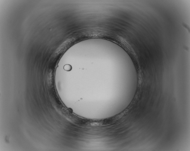 X0000103950163200809191219