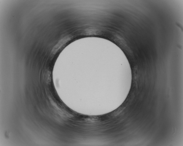 X0000103950164200809191219
