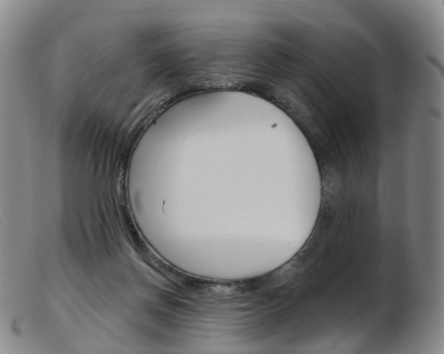 X0000103950166200809191219