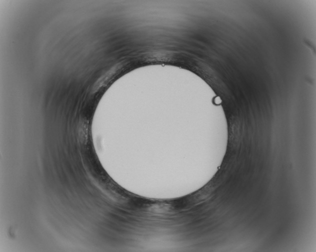 X0000103950168200809191219