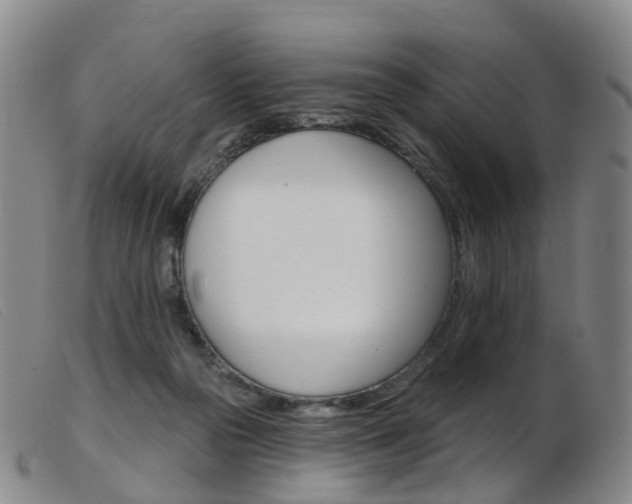 X0000103950169200809191219