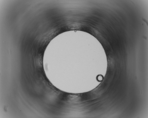 X0000103950170200809191219