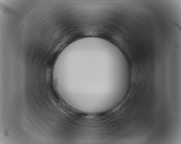 X0000103950171200809191219