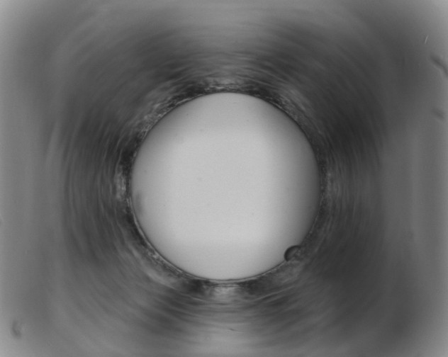 X0000103950173200809191219