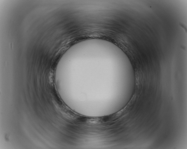 X0000103950175200809191219