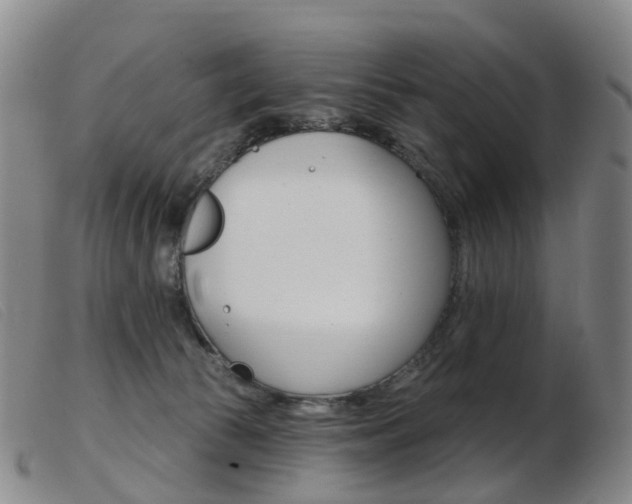 X0000103950177200809191219