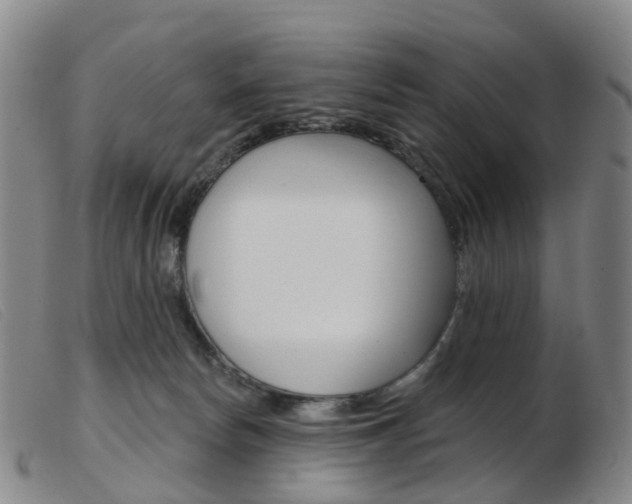 X0000103950178200809191219