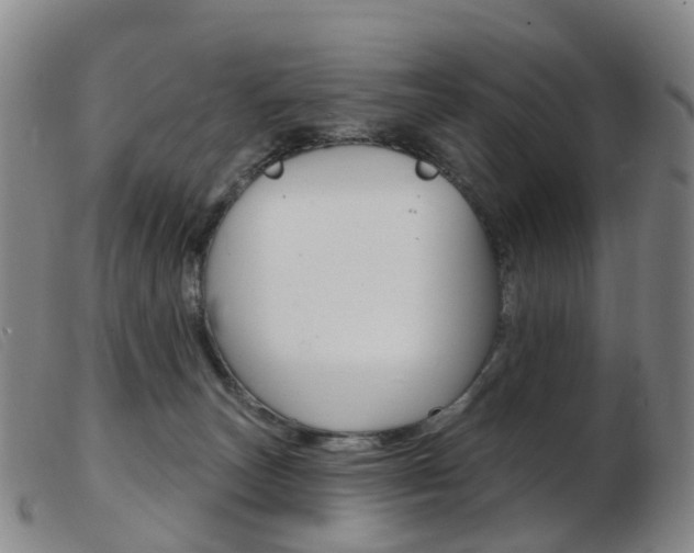 X0000103950179200809191219