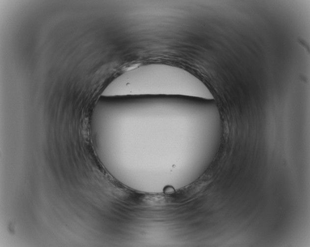 X0000103950181200809191219