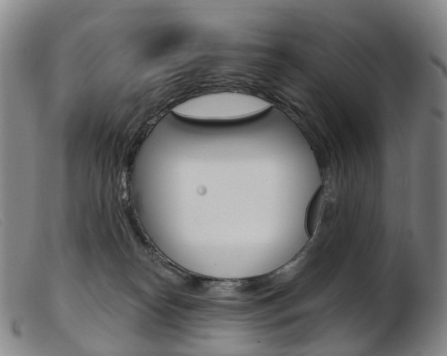 X0000103950182200809191219