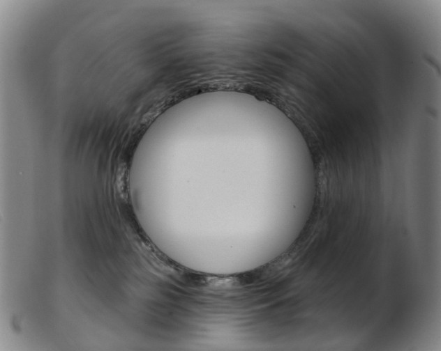 X0000103950185200809191219