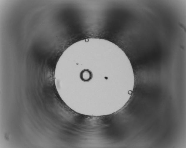X0000103950186200809191219