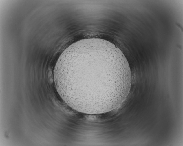 X0000103950187200809191219