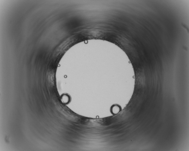 X0000103950188200809191220