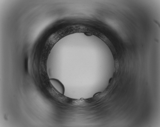 X0000103950189200809191220