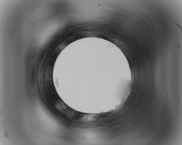 X0000103950190200809191220